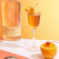 imagen del cóctel Bijou con botella Gin MG
