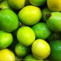 Imagen ingrediente